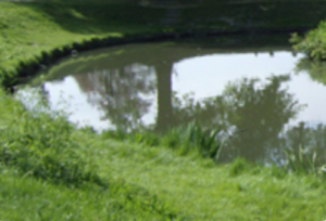 Natural and ornamental ponds can be used for lawn irrigation and sprinkler systems for watering yards and gardens