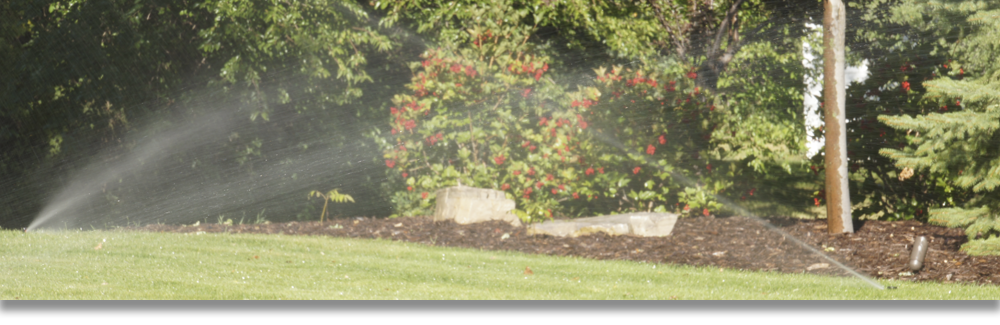 Professional Sprinkler Systems installs automated underground sprinklers and irrigation